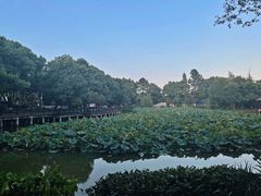-高淳味道(丹阳湖北路店)