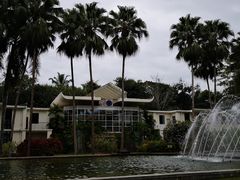 -中国科学院西双版纳热带植物园