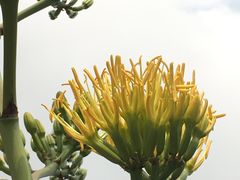 -华南国家植物园-售票处