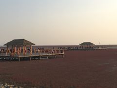 -红海滩国家风景廊道