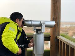 -盐城丹顶鹤湿地生态旅游区