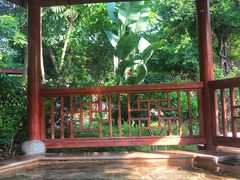 -金穗园温泉酒店