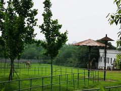 -合肥野生动物园