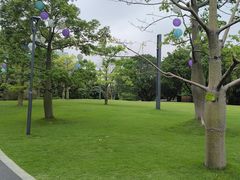 -云溪植物园