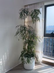 -HEYAN荷妍专业脱毛连锁机构