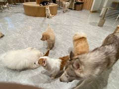 -鹤之乡·齐齐哈尔烤肉·非遗(秋涛路店)