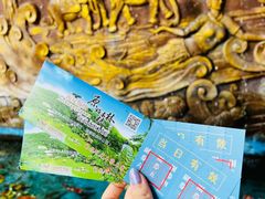 -西双版纳原始森林公园