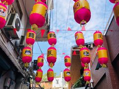 -猫咪博物馆(顶澳仔猫街店)