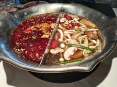 -九鼎轩脆毛肚火锅(三钢里店)
