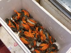 -启东海鲜人家(古美路店)