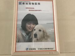 -康旭宠物医院(郑州总院)