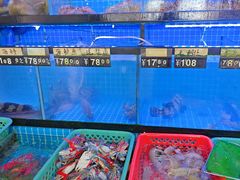 -冯姐生蚝(长隆横琴店)