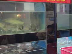 -全乐鱼馆·淳牌有机鱼直营店