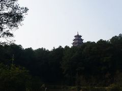 -铁山坪森林公园