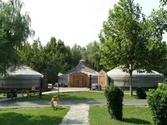 -九十九顶毡房(阜石路店)