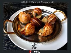 -金蜗牛