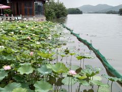 -湘湖大院(越王路店)