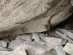 -秦岭终南山世界地质公园翠华山景区