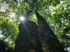-重庆彩云湖湿地公园