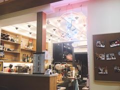 -滚猫咖啡·猫咖·猫友好撸猫(未来城店)