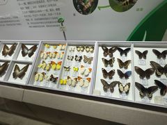 -烟台市博物馆