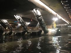 -运河游船(武林门码头)