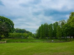 -青龙山国家森林公园