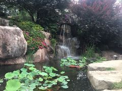 -秀丽东方