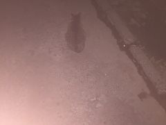 -沈坚强游泳俱乐部(长征分部)