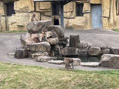 -苏州上方山国家森林公园