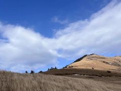 -秦岭风景区