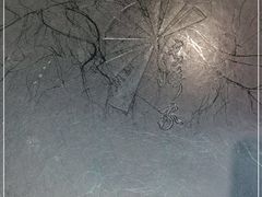 -长崎家日式料理(人民大街店)