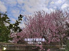 -凤凰沟景区