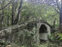 -青龙山国家森林公园