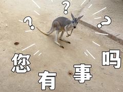-济南野生动物世界