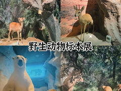 -深圳博物馆历史民俗馆