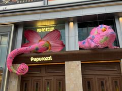 -帕帕拉兹宠物(亚洲旗舰店)