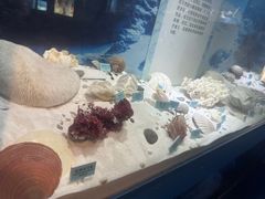 -温州博物馆