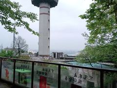 -茶颜悦色(岳麓山顶店)