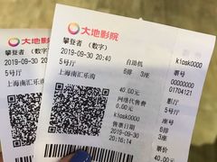 -大地影院(上海南汇店)