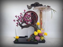 -共青国家森林公园-售票处