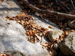 -黑河国家森林公园