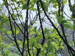 -杭州城北体育公园