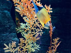 -沈阳海洋探索中心