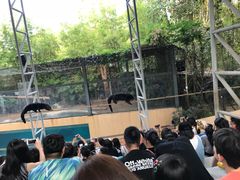 -清迈夜间动物园