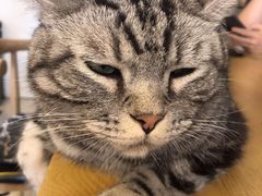 -平行世界·猫咖(首经贸店)