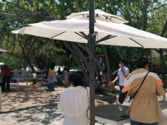 -美人鱼悬崖海景餐厅(鹿嘴山庄店)