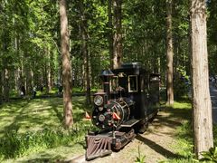 -黄海国家森林公园