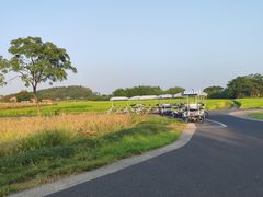 -良渚古城遗址公园