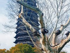 -红梅公园